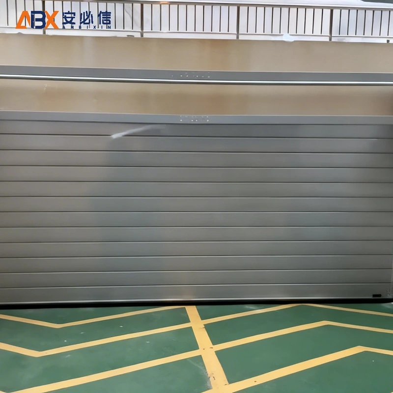 龙岩市软帘高速门
